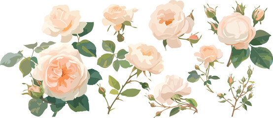 Wall Mural - rose clipart vector for graphic resources
