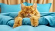 A fluffy orange cat sleeps sweetly on a blue bed with blue pillows.