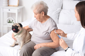 Sticker - Senior woman with pug dog receiving injection from doctor in bedroom