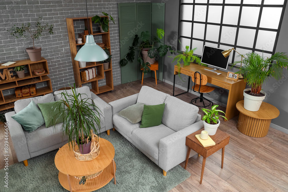Interior of living room with plants, sofas and workplace