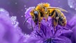 A macro image of a bee on a violet flower, dusted with pollen under the spring sun