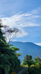 Wall Mural - Fresh green trees, a blue mountain, and a beautiful sky. Beautiful scenery background 