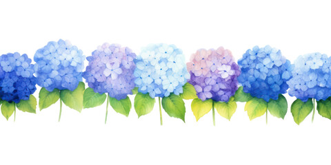 Poster - PNG Hydrangea flower nature plant.