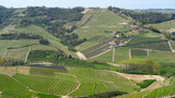 Fototapeta  - Amazing landscape of the vineyards of Langhe in Piemonte in Italy during spring time. The wine route. An Unesco World Heritage. Natural contest. Rows of vineyards