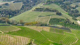 Fototapeta  - Amazing landscape of the vineyards of Langhe in Piemonte in Italy during spring time. The wine route. An Unesco World Heritage. Natural contest. Rows of vineyards