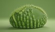 Surface of a prickly cactus with detailed spines and green color variations, showcased again