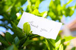 handwritten Thank You card in a garden