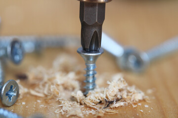 Screwdriver screw in a wood plank