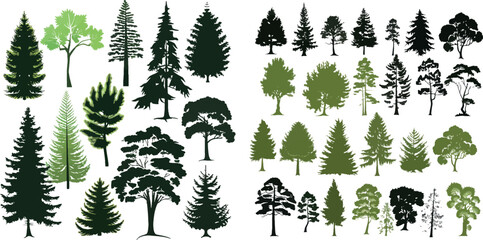 Poster - Forest tree vector elements. Green ans black silhouettes trees