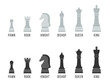 Vector illustration featuring a set of white and black chess pieces with labeled names on a white background
