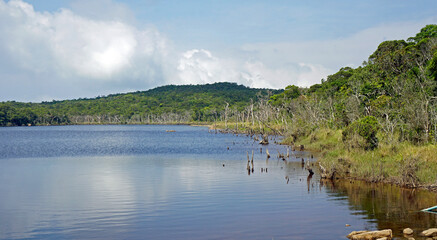 scenic landscape in bokor hills national park