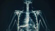 © Fay Melronna  - A digitally enhanced Y2Kstyle chest Xray of a healthy man, highlighting the lungs, heart, diaphragm, and spine, merging medical accuracy with millenniumera visual flair