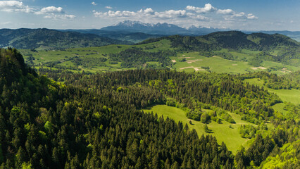 Poster - Aerial drone view over green hills of Pieniny National Park and snowy Tatra Mountains