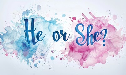 He or She?. Gender reveal illustration. Inspirational modern calligraphy lettering with painted blue and pink splashes. Template typography for party invitation, banner, poster.