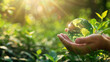 hand holding a glass globe with a green planet and sunlight in a forest background