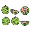 Handdrawn watermelons slices vibrant colors. Two whole watermelons, two watermelon slices, one half watermelon show fresh summer fruit theme. Artistic food drawing isolated white background