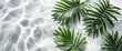 Tropical palm leaves on white background with water ripples, top view.