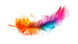 © mizan - Feather with Paint Splashes isolated on a transparent background