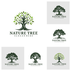 Set of Tree logo design vector. Nature trees vector illustration. Oak tree logo concept