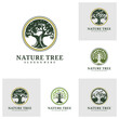 Set of Tree logo design vector. Nature trees vector illustration. Oak tree logo concept