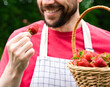 The young man eats ripe strawberries. Harvest strawberries. Close-up. Selective focus.