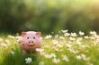 Piggy bank in a green summer meadow with flowers, concept of green economy, bokeh background with space for text