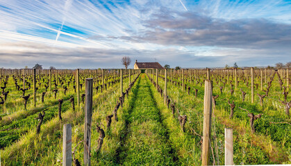 Saint-Émilion, Nouvelle-Aquitaine, France: Bordeaux wine region