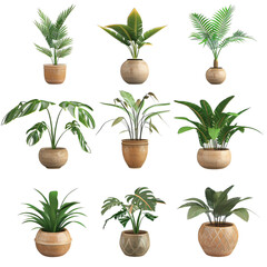 Poster - set of plants