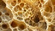 Intricate Organic Textures: Close-Up Details of Natural Structures