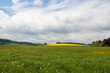 Hilly landscape with green meadows and yellow rape fields in Schmutter valley near Augsburg