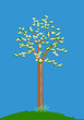 Vector illustration of a young tree blooming in the spring season.
