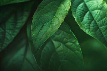 Canvas Print - Close-up of leaves in vibrant green nature background with soft focus. Lush image. Ai-generated art