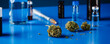 cannabis buds and flasks, panoramic format