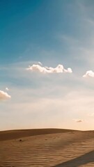Wall Mural - vertical 9:16 sunrise over the desert background