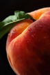 Fresh Dew-Kissed Peach Close-up on Dark Background