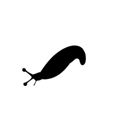 Canvas Print - Slug Snail Silhouette 