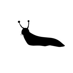 Canvas Print - Slug Snail Silhouette 