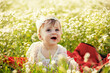 Happy little baby girl  sitting in the flowers field on a sunny day
