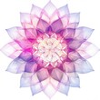 Translucent Geometric Flower Design