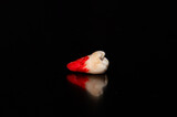 Fototapeta  - Close-up of an extracted jaw teeth on a black background