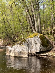 Wall Mural - colorful spring landscape with Vizla river and Zāklu giant stone, Vidaga, Latvia