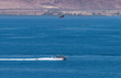 Excursion pleasure motorboat on the Red Sea near Eilat - famous tourist resort and recreational city in Israel