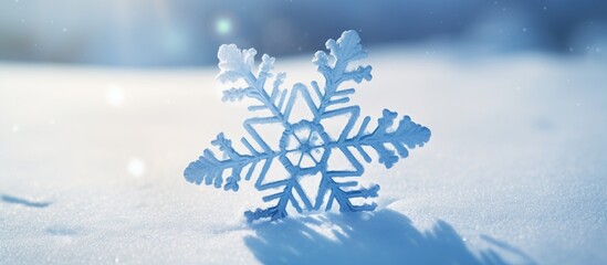 Poster - A snowflake with a blue hue stands out against the white snow on a snowy background creating a visually striking image with plenty of copy space