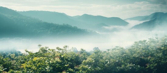 Canvas Print - A blurred photo of a natural landscape capturing the beautiful and hazy essence of nature as an ideal background image with ample copy space