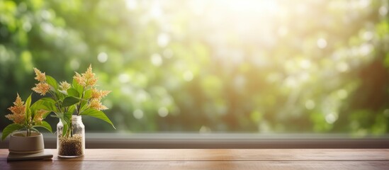 Fototapete - The table has a free space background and a blurred window in the background providing a decorative and sunny day copy space image