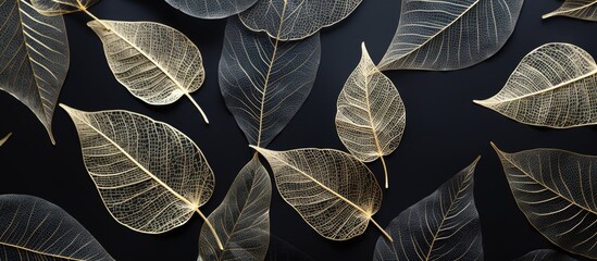 Poster - Flat lay of elegant decorative skeleton leaves on a black background with room for text creating a visually stunning and versatile copy space image