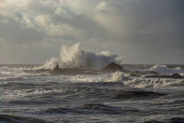 Wall Mural - North wind seascape