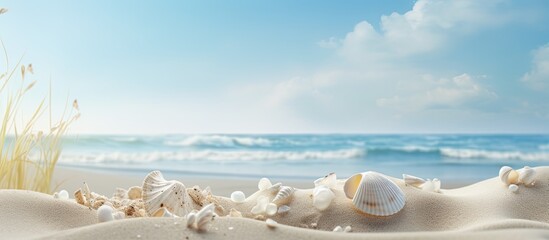 Poster - In the summer the beach sand dune and shell fragments create a picturesque landscape with ample copy space for images