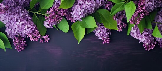 Leinwandbilder - A blooming purple lilac with green leaves arranged creatively in a flat lay composition The image depicts a spring concept with a nature background The top view displays copy space