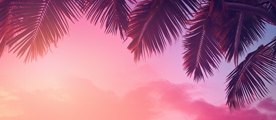 Wall Mural - A tropical scene with palm trees against a vibrant pink sky creating a trendy and vibrant atmosphere Perfect for a summer or travel theme The image features palm leaves and branches providing a textu